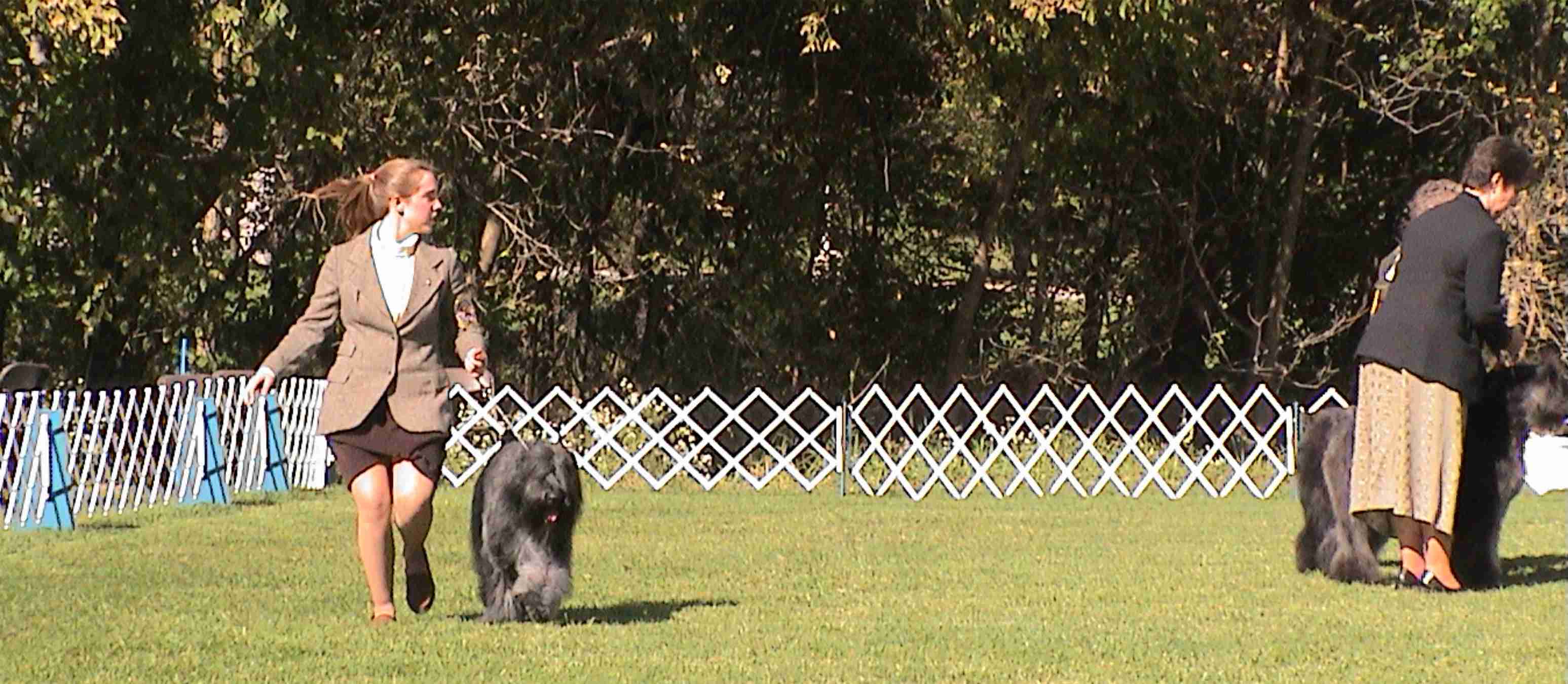 Hilary showing our Dogs